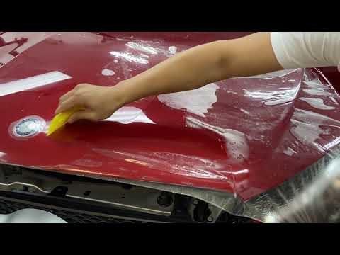 PPF Paint Protection Film Clear Bra